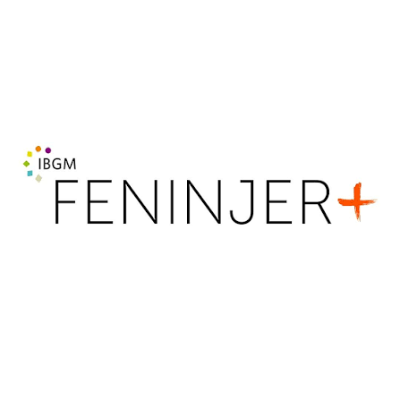Feninjer